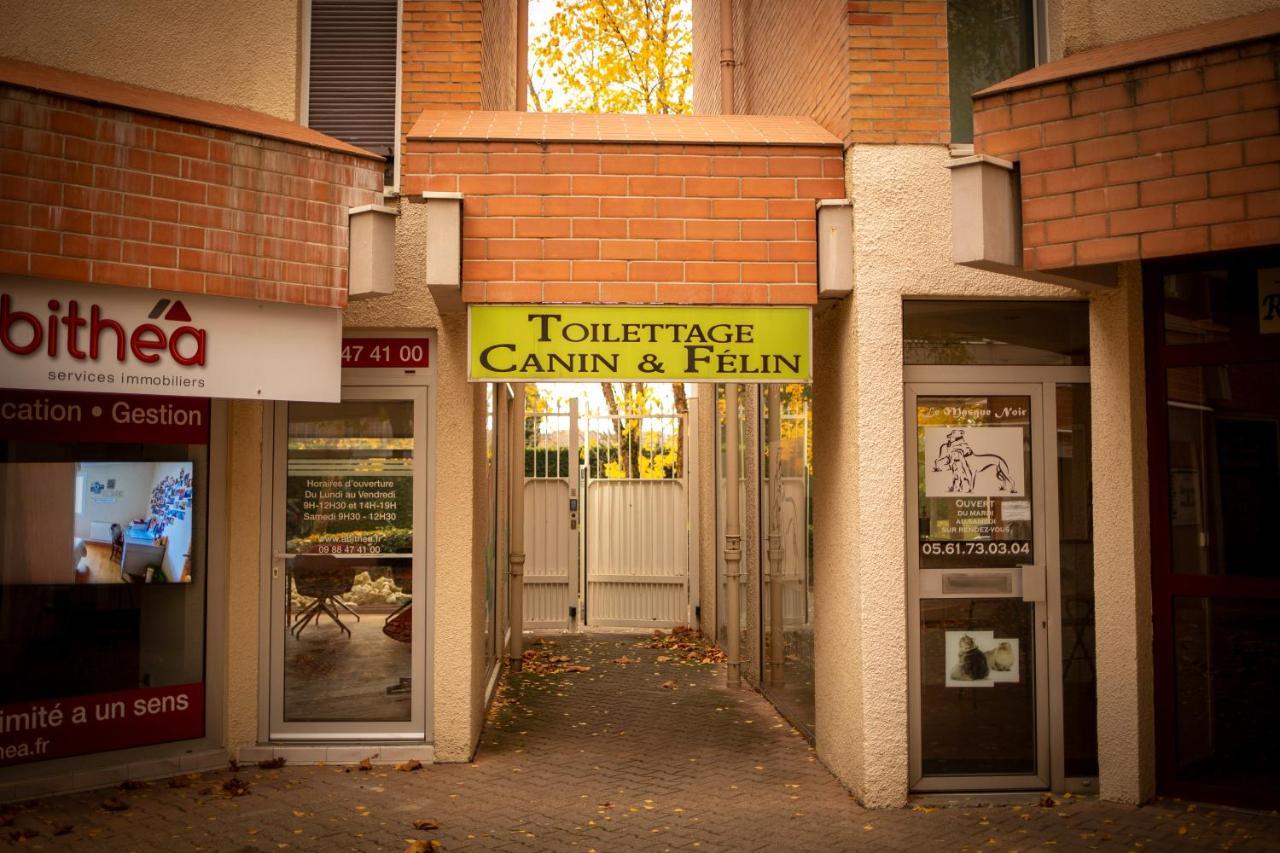 Charmant Studio☆Netflix☆Canal+☆Canal Sat☆Parking☆ Ramonville-Saint-Agne Kültér fotó